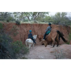 Weaver Leather Trail Gear Horse Saddle Bags 12 Weaver Leather Trail Gear Horse Saddle Bags -Weaver Leather || Finish Line || Cavalor Shop 288425 PT5. AC SS1800 V1681929116