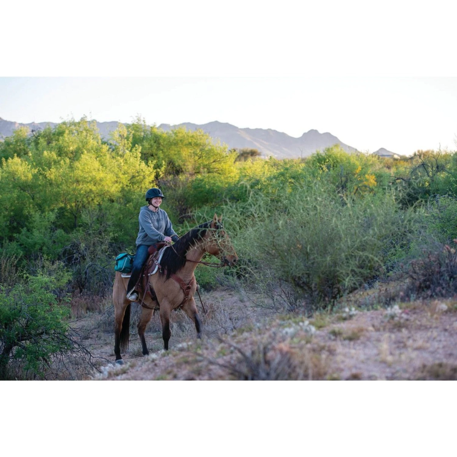 Weaver Leather Trail Gear Horse Saddle Bags 7 Weaver Leather Trail Gear Horse Saddle Bags - Image 7