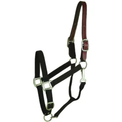 Gatsby Classic Nylon Breakaway Horse Halter & Snap