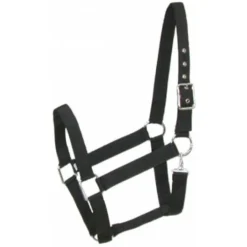 Gatsby Nylon Horse Halter & Snap