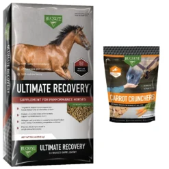 Buckeye Nutrition Ultimate Recovery Extruded Performance Pellets Horse Supplement, 30-lb Bag & Buckeye Nutrition All-Natural Carrot Horse Treats