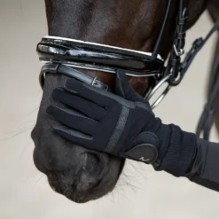 Horze Equestrian Grayson Classic Dressage Ergonomic Horse Bridle 8 Horze Equestrian Grayson Classic Dressage Ergonomic Horse Bridle -Weaver Leather || Finish Line || Cavalor Shop 304204 PT3. AC SS1800 V1623281244