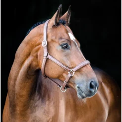 Horze Equestrian Warren Soft Leather Horse Halter -Weaver Leather || Finish Line || Cavalor Shop 304508 PT2. AC SS1800 V1623279145
