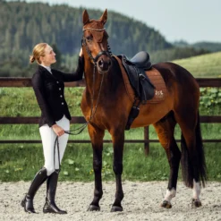 B Vertigo Gabrielle Womens Mesh Show Jacket -Weaver Leather || Finish Line || Cavalor Shop 308008 PT2. AC SS1800 V1626473790