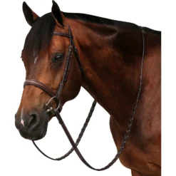 Equiline Scott Stewart Hunter Horse Bridle