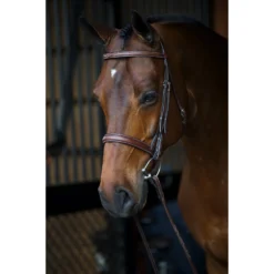 Equiline Scott Stewart Hunter Horse Bridle -Weaver Leather || Finish Line || Cavalor Shop 327698 PT2. AC SS1800 V1634596349