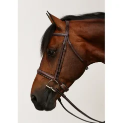Equiline Scott Stewart Hunter Horse Bridle -Weaver Leather || Finish Line || Cavalor Shop 327698 PT5. AC SS1800 V1634253719