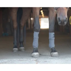 Benefab Therapeutic Pony Polo Wraps, 4-pack -Weaver Leather || Finish Line || Cavalor Shop 335409 PT2. AC SS1800 V1636518696