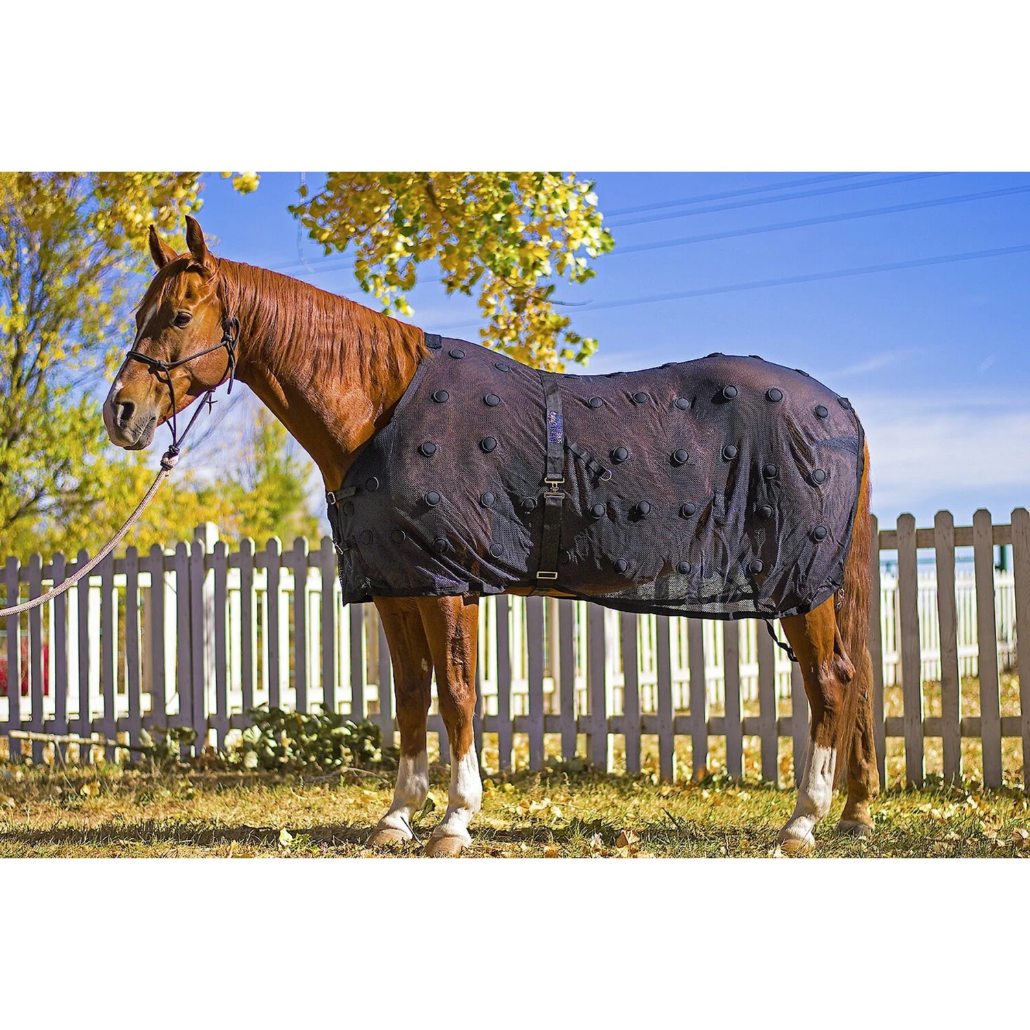 Benefab Rejuvenate Horse SmartScrim 2 Benefab Rejuvenate Horse SmartScrim - Image 2