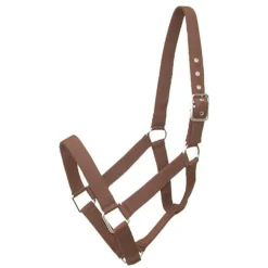 Gatsby Nylon Draft Horse Halter
