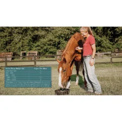 Tribute Equine Nutrition Constant Comfort Plus Gut Health Horse Supplement, 40-lbs Bag -Weaver Leather || Finish Line || Cavalor Shop 352533 PT3. AC SS1800 V1641619936