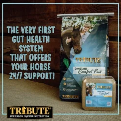 Tribute Equine Nutrition Constant Comfort Plus Gut Health Horse Supplement, 40-lbs Bag -Weaver Leather || Finish Line || Cavalor Shop 352533 PT5. AC SS1800 V1641603700