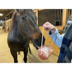 Miracle Salt Collective Natural Himalayan Salt Lick -Weaver Leather || Finish Line || Cavalor Shop 373166 PT4. AC SS1800 V1673386026