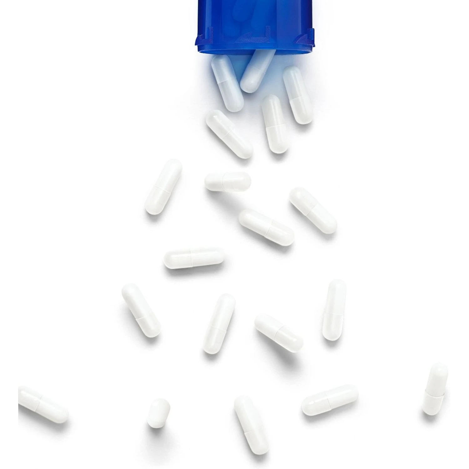 Maropitant Citrate Compounded Capsule For Dogs & Cats 3 Maropitant Citrate Compounded Capsule For Dogs & Cats - Image 3