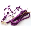 Star Point Horsemanship Mini-Pony-Livestock 4 Knot Rope Halter & 8-ft Lead Set