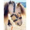Star Point Horsemanship Mini-Pony-Livestock Printed Halter