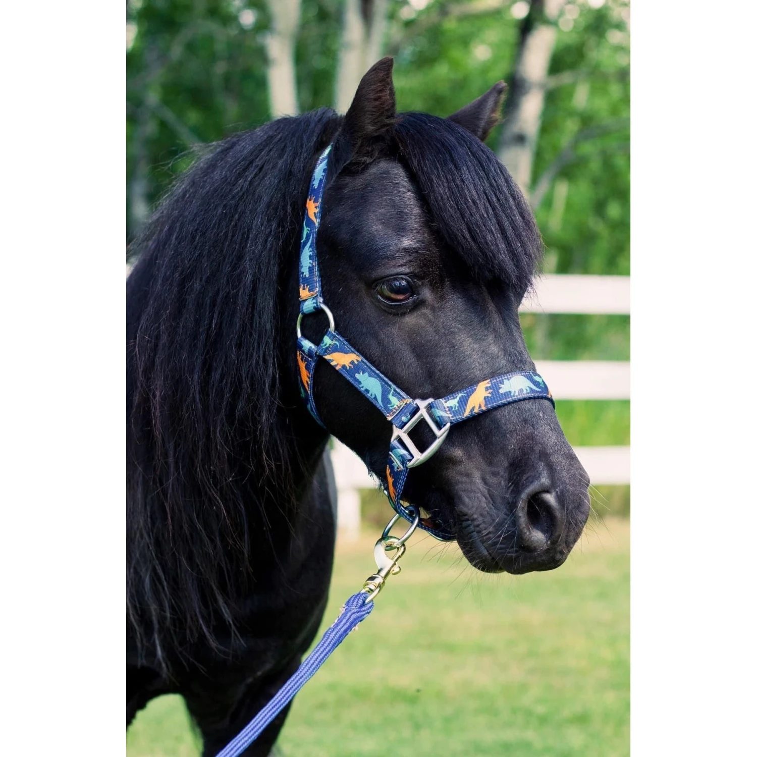 Star Point Horsemanship Mini-Pony-Livestock Printed Halter 2 Star Point Horsemanship Mini-Pony-Livestock Printed Halter - Image 2