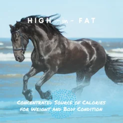 Manna Pro Cool Calories 100 Healthy Weight Gain Equine Dry Fat Horse Supplement, 8-lb Bag -Weaver Leather || Finish Line || Cavalor Shop 837334 PT3. AC SS1800 V1683064374