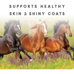 Manna Pro Sho-Glo Complete Vitamin & Mineral Supplement For Healthy Skin & Coat Horse Supplement, 5-lb Bag -Weaver Leather || Finish Line || Cavalor Shop 837350 PT2. AC SS1800 V1683064496