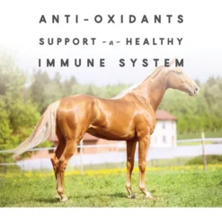 Manna Pro Sho-Glo Complete Vitamin & Mineral Supplement For Healthy Skin & Coat Horse Supplement, 5-lb Bag -Weaver Leather || Finish Line || Cavalor Shop 837350 PT3. AC SS1800 V1683064437