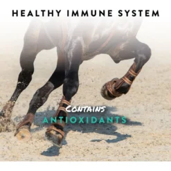 Manna Pro Sho-Flex Formulated With MSM Glucosamine & Chondroitin Horse Supplement, 5-lb Bag -Weaver Leather || Finish Line || Cavalor Shop 837382 PT3. AC SS1800 V1683120778