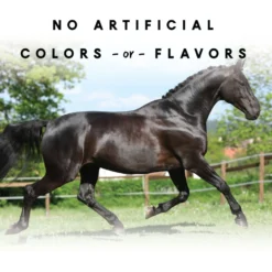 NutriGood FruitSnax BerryMint + Oats Flavor Horse Treat, 2-lb Bag -Weaver Leather || Finish Line || Cavalor Shop 839270 PT4. AC SS1800 V1682003271