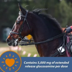 Farnam MaxFlex XR Extended Release Horse Joint Supplement, 0.9375-lb Jar 12 Farnam MaxFlex XR Extended Release Horse Joint Supplement, 0.9375-lb Jar -Weaver Leather || Finish Line || Cavalor Shop 840262 PT3. AC SS1800 V1684336637