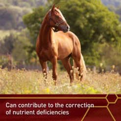 Vita Flex Pro E Horse Selenium Supplement, 20-lb Bag 11 Vita Flex Pro E Horse Selenium Supplement, 20-lb Bag -Weaver Leather || Finish Line || Cavalor Shop 847638 PT3. AC SS1800 V1685464106