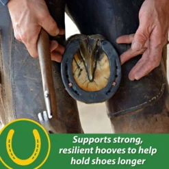 Farnam HB 15 Horse Hoof Supplement, 3-lb Bag 12 Farnam HB 15 Horse Hoof Supplement, 3-lb Bag -Weaver Leather || Finish Line || Cavalor Shop 847654 PT3. AC SS1800 V1685490909