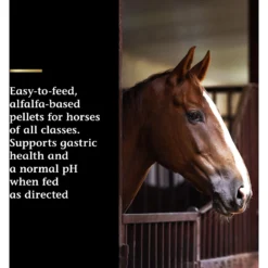 Vita Flex Pro Daily Gastric Care Horse Supplement, 16.5-lb -Weaver Leather || Finish Line || Cavalor Shop 857166 PT2. AC SS1800 V1692734462