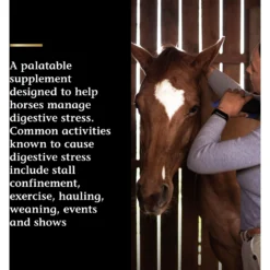 Vita Flex Pro Daily Gastric Care Horse Supplement, 16.5-lb -Weaver Leather || Finish Line || Cavalor Shop 857166 PT3. AC SS1800 V1692734526