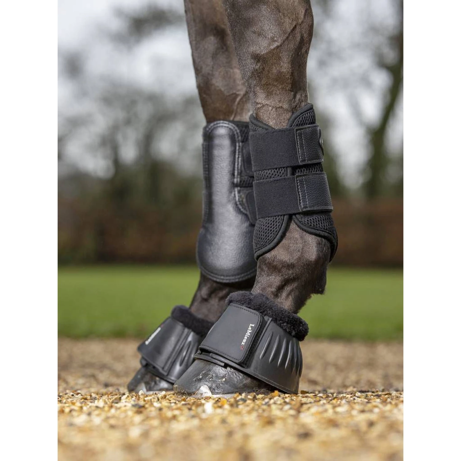 LeMieux Mesh Brushing Horse Boots, Black 2 LeMieux Mesh Brushing Horse Boots, Black - Image 2