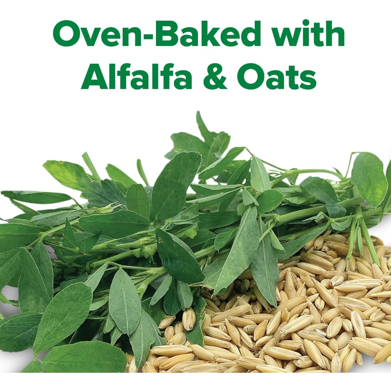 Blue Seal Alfalfa & Oats Rounders Horse Treats, 30-oz Bag 4 Blue Seal Alfalfa & Oats Rounders Horse Treats, 30-oz Bag - Image 4