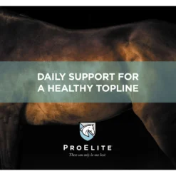 ProElite Top-Line Advanced Support Topline Support Horse Supplement, 2.2-lb Tub -Weaver Leather || Finish Line || Cavalor Shop 888622 PT2. AC SS1800 V1693929356