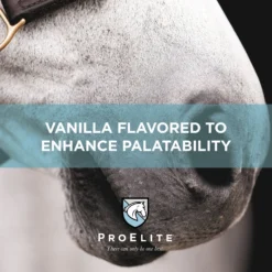 ProElite Top-Line Advanced Support Topline Support Horse Supplement, 2.2-lb Tub -Weaver Leather || Finish Line || Cavalor Shop 888622 PT3. AC SS1800 V1693928401