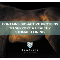 ProElite Soothing Pink Xtra Strength Gut Health Support Horse Supplement, 3-lb Tub -Weaver Leather || Finish Line || Cavalor Shop 888638 PT2. AC SS1800 V1693929418