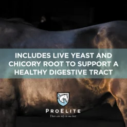 ProElite Soothing Pink Xtra Strength Gut Health Support Horse Supplement, 3-lb Tub -Weaver Leather || Finish Line || Cavalor Shop 888638 PT3. AC SS1800 V1693929449