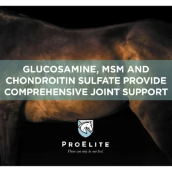 ProElite Joint & Cartilage Health Equine Supplement, 3-lb Tub -Weaver Leather || Finish Line || Cavalor Shop 888686 PT3. AC SS1800 V1693929446