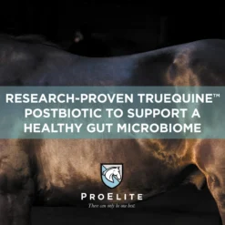 ProElite GutBiome Gut Microbiome & Immunity Support Horse Supplement, 3-lb Tub -Weaver Leather || Finish Line || Cavalor Shop 888702 PT2. AC SS1800 V1693929476