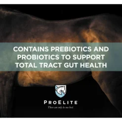 ProElite GutBiome Gut Microbiome & Immunity Support Horse Supplement, 3-lb Tub -Weaver Leather || Finish Line || Cavalor Shop 888702 PT3. AC SS1800 V1693929476