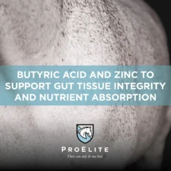 ProElite GutBiome Gut Microbiome & Immunity Support Horse Supplement, 3-lb Tub -Weaver Leather || Finish Line || Cavalor Shop 888702 PT4. AC SS1800 V1693927798