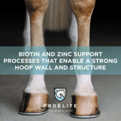 ProElite Hoof Healthy Hoof, Skin, & Coat Support Horse Supplement, 3-lb Tub -Weaver Leather || Finish Line || Cavalor Shop 888718 PT3. AC SS1800 V1693928370