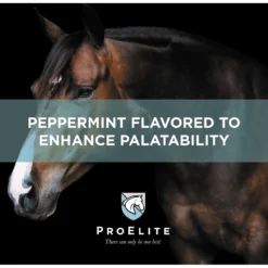 ProElite Hoof Healthy Hoof, Skin, & Coat Support Horse Supplement, 3-lb Tub -Weaver Leather || Finish Line || Cavalor Shop 888718 PT5. AC SS1800 V1693928843