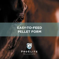 ProElite Hoof Healthy Hoof, Skin, & Coat Support Horse Supplement, 3-lb Tub -Weaver Leather || Finish Line || Cavalor Shop 888718 PT6. AC SS1800 V1693929416