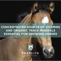 ProElite Rejuvenaide Max Pellet Healthy Joint & Leg Development In Foals Horse Supplement, 3-lb Tub -Weaver Leather || Finish Line || Cavalor Shop 888734 PT3. AC SS1800 V1693928345