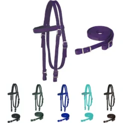 Majestic Ally Nylon Padded Browband Headstall With Reins Horse Tack