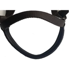 Majestic Ally Nylon Padded Browband Headstall With Reins Horse Tack 7 Majestic Ally Nylon Padded Browband Headstall With Reins Horse Tack -Weaver Leather || Finish Line || Cavalor Shop 900966 PT3. AC SS1800 V1698436996