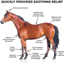 Ice Horse Cooling Liniment & Cold Therapy Extender Horse Liniment, 16-oz Bottle -Weaver Leather || Finish Line || Cavalor Shop 955174 PT2. AC SS1800 V1694445837