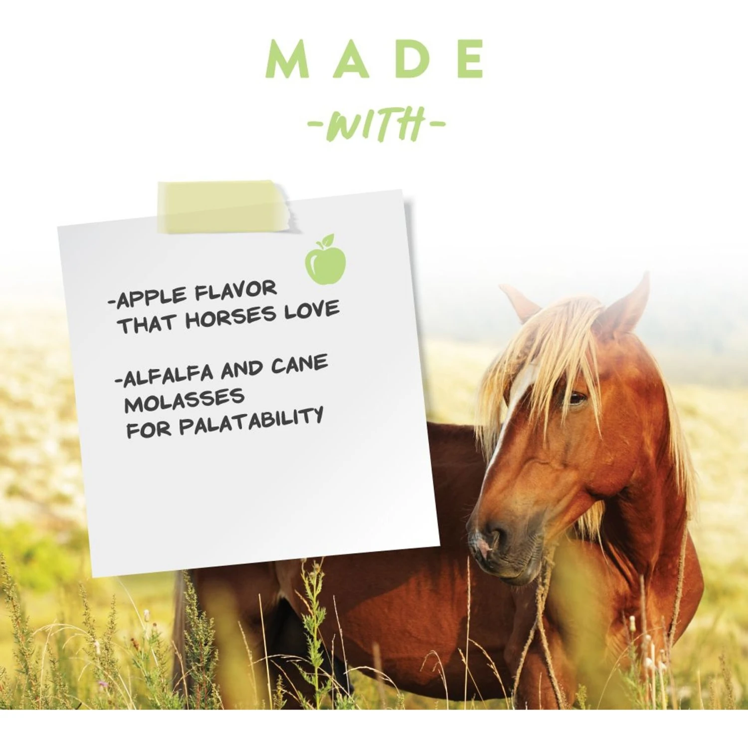 Manna Pro Saddle Snacks Apple Flavored Pellet Horse Treats, 18-lb Bag 4 Manna Pro Saddle Snacks Apple Flavored Pellet Horse Treats, 18-lb Bag - Image 4