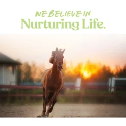 Manna Pro Saddle Snacks Apple Flavored Pellet Horse Treats, 18-lb Bag 13 Manna Pro Saddle Snacks Apple Flavored Pellet Horse Treats, 18-lb Bag -Weaver Leather || Finish Line || Cavalor Shop 976590 PT6. AC SS1800 V1697900505